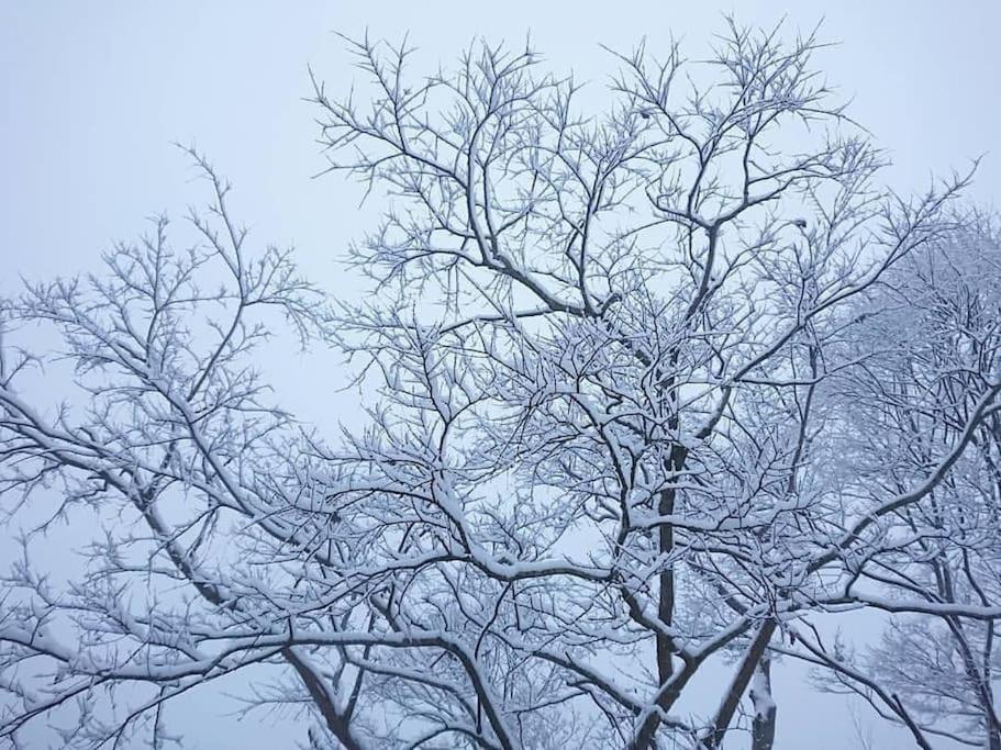 Oyamanoyado Michitsuji Villa Otoyocho Dış mekan fotoğraf
