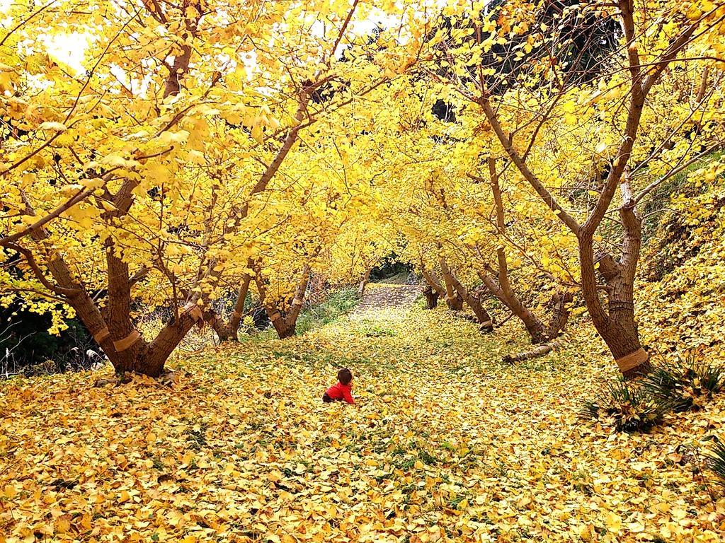 Oyamanoyado Michitsuji Villa Otoyocho Dış mekan fotoğraf